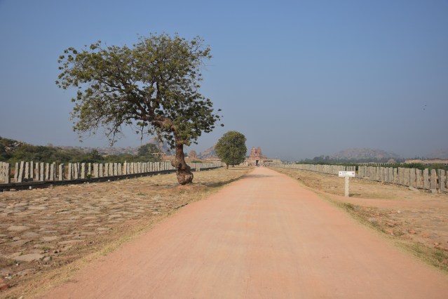 DSC_3455 Way to Vitthala temple