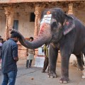 Lakshmi Giving blessing to a National tourist