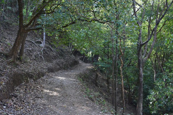 Starting point near Bonacaud Forest Office.