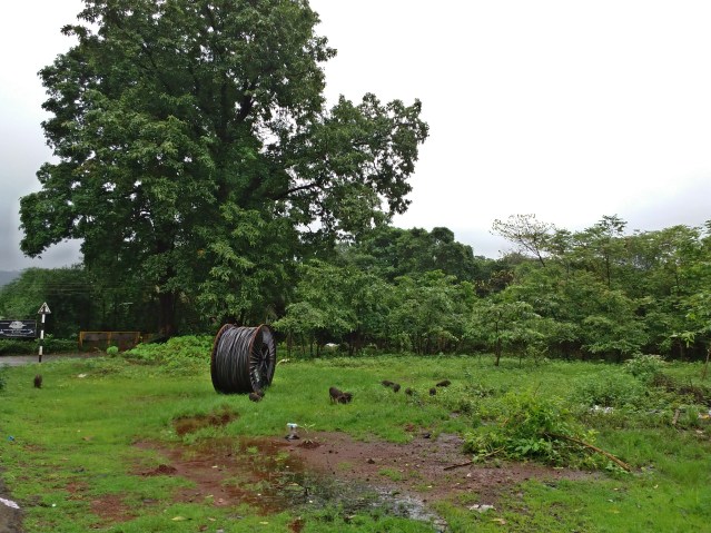 PHOTO_20180719_090936