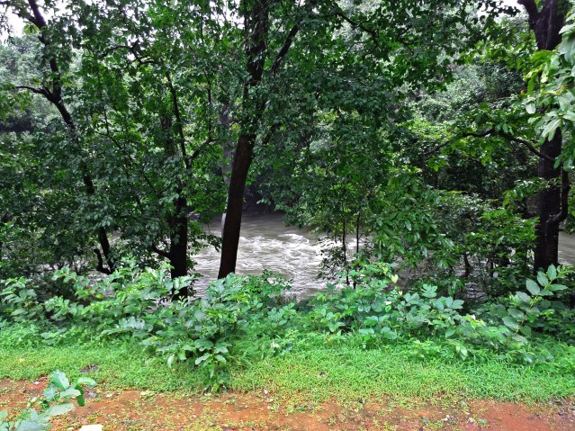 PHOTO_20180719_094153