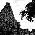 DSC_0612 – Rare Black and White view of the South side of Brihadheeswara – from Ganesha shrine to Rajaraja gopuram.
