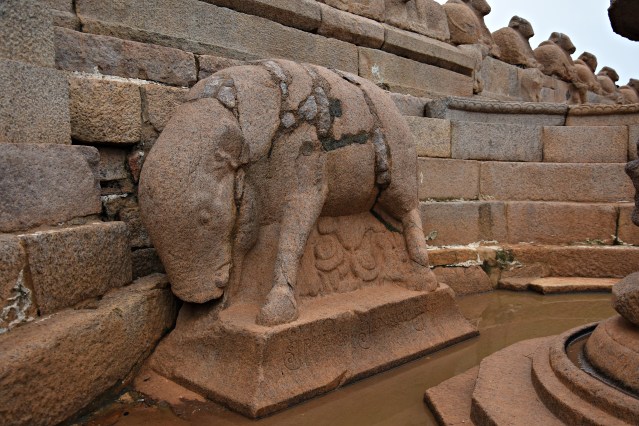 DSC_9112 - Close view of Bhuvaraha sculpture inside elliptical well.