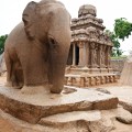 DSC_9222 – Large monolithic elephant relief on the west of Nakula-Sahadeva ratha, may be depicting Airavatha (Indra).