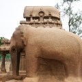DSC_9258 – Elephant statue may be depicting Airavatha – east of Nakula sahadeva ratha.