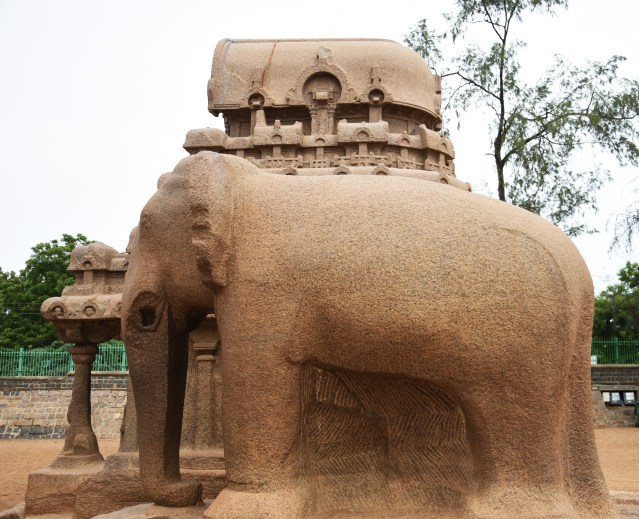 DSC_9258 - Elephant statue may be depicting Airavatha - east of Nakula sahadeva ratha.
