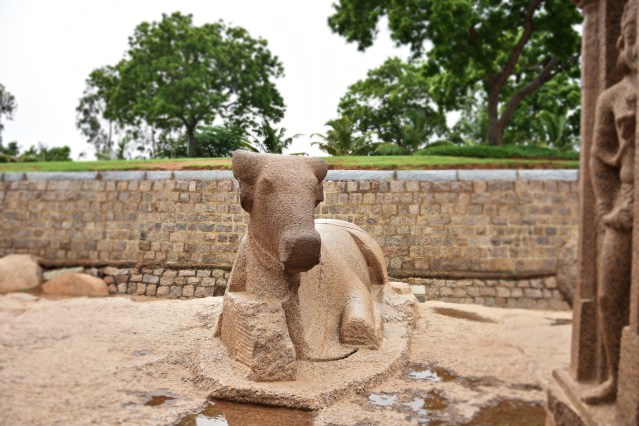 DSC_9283 - Nandi bull on the middle side of Arjuna and Draupadi ratha.