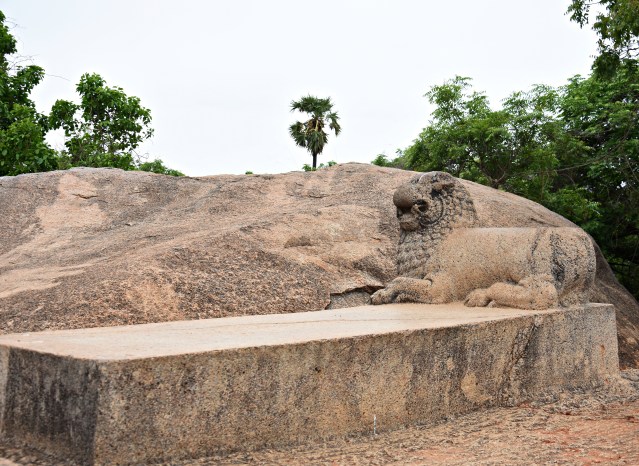 DSC_9485 - Dharmaraja's rock cut throne - a monolith rectangular seat with a carved out couchant lion at one end - found on the top of hill.