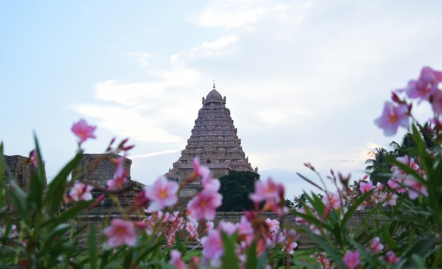 DSC_0114 - A massive monument viewed from the perspective of nature.