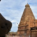 DSC_0241 – Brihadeeswara viewed from thw angle of Chola period Nandi on the South side of circumambulatory.