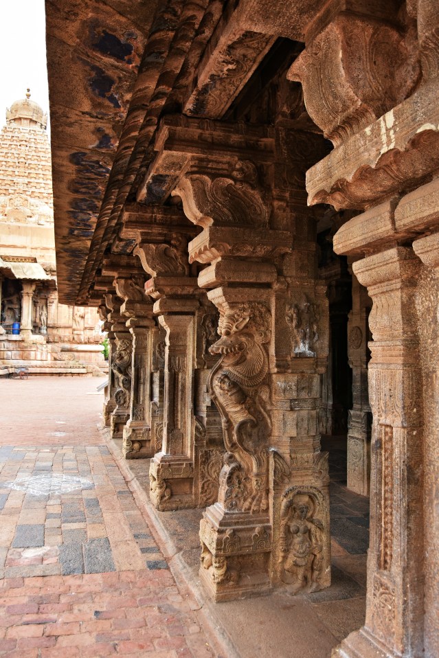DSC_0310 - Yali pillars of the south facing Amman shrine (NW of Nandi hall).