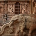DSC_0381 – Elegantly carved Elephant found on the side walls of steps leading to the Mukhamandapa of Karthikeya shrine (NW).