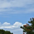 DSC_0397 – View of blue sky and white puffy clouds during our visit to Thanjavur Maratta Palace.