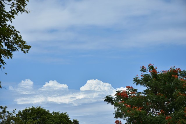 DSC_0397 - View of blue sky and white puffy clouds during our visit to Thanjavur Maratta Palace.