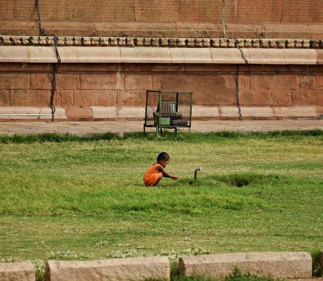 DSC_0492 - Another scene from north side of temple complex - A kid playing with his own Fantasies.
