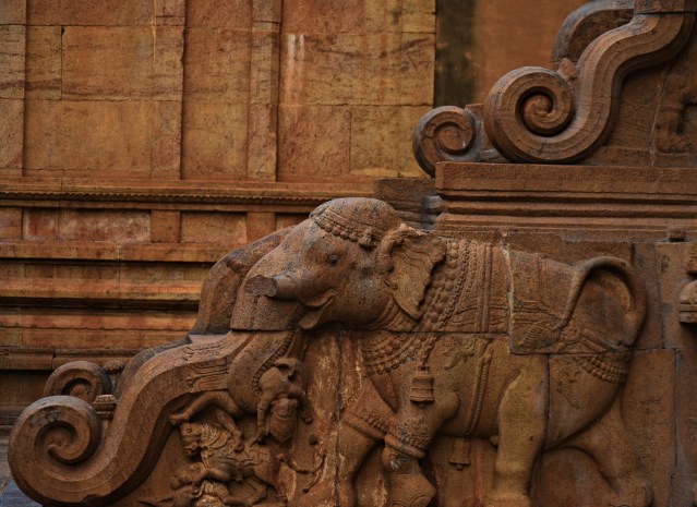 DSC_0530 - Display of Elephant fighting with horse warriors on the side walls of steps leads to N side of Karthikeya shrine.