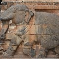 DSC_9824 – Image of running elephant with a man displayed at the entrance of 1000 pillared hall.