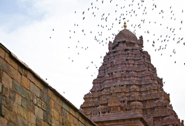 DSC_9853 - 9 Storey Vimana structure of Choleswaram.55 m high.