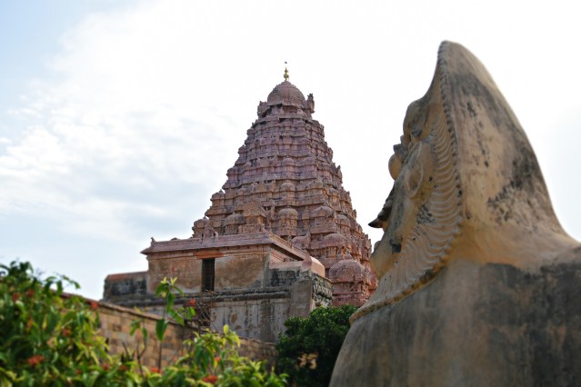 DSC_9880 - A view of Brihadiswara from northeast corner.