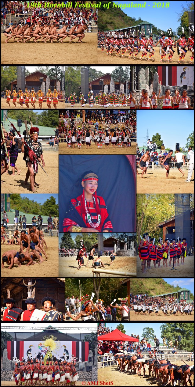 19th Hornbill Festival copy 6