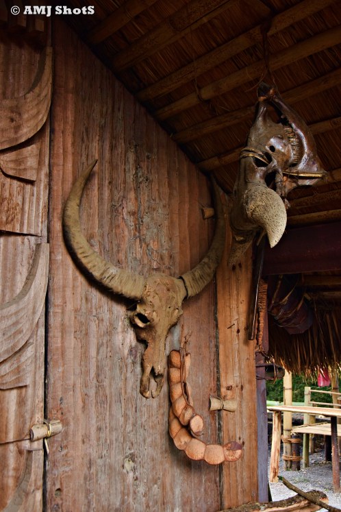 DSC_1395 Decorating Indian Bison skull in Chakhesang morung.
