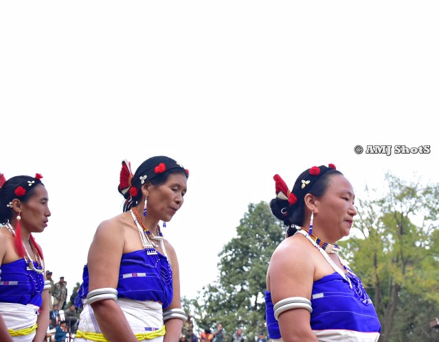 DSC_2702 Rengma Women performing their cultural dance - Ngada Dance