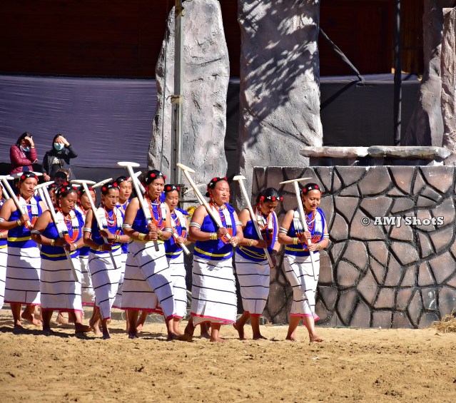DSC_3619 Rengma tribe showing their traditional art of tilling agri fields - Lokegvu Lu.