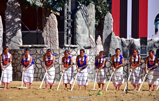 DSC_3625 Rengma tribe showing their traditional art of tilling agri fields - Lokegvu Lu.