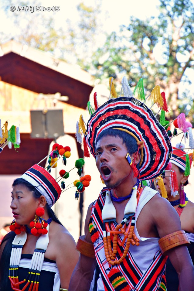 DSC_3755 Zeliang performing a folk song while demonstrating the tilling of Agri fields.