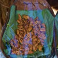 DSC_3835 Cooked Silkworm from Lotha morung.