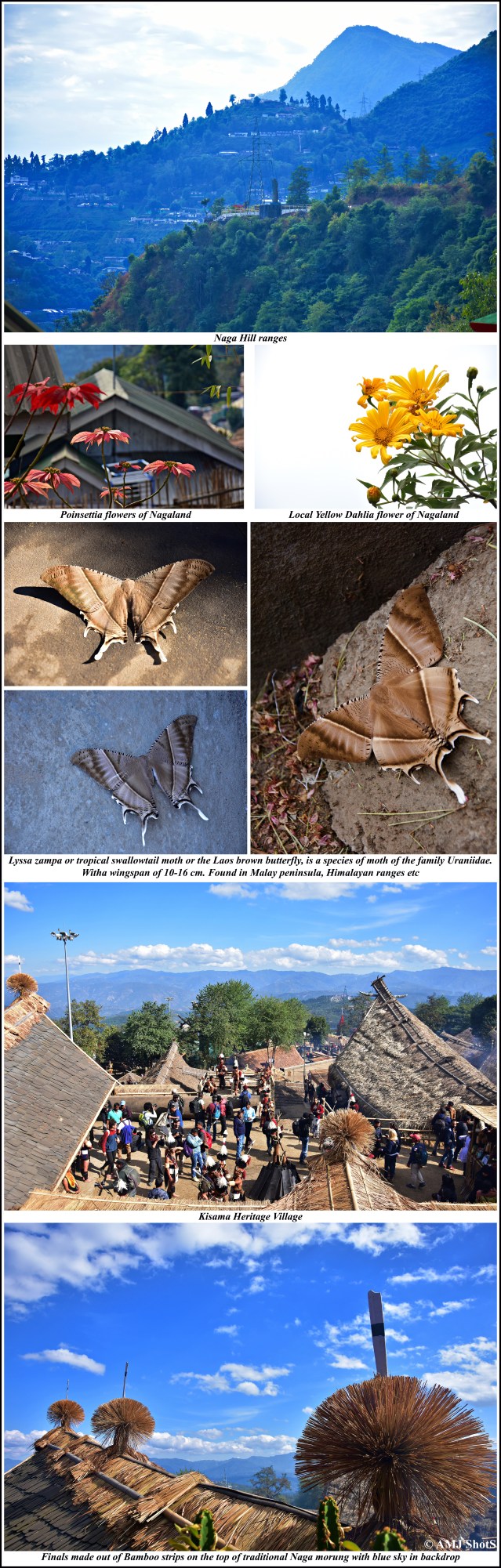 Surroundings of Kisama Heritage Village copy