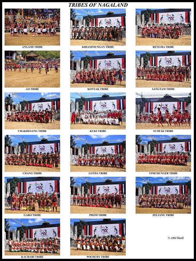 Tribes of Nagaland copy 2